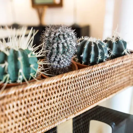 Casa Pilar By Rent Costa Brava Villa